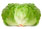 Salat